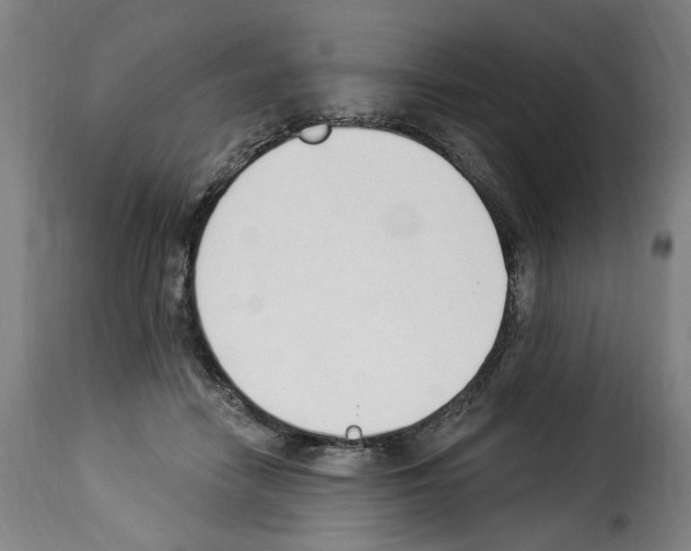 X0000114240458200911201137