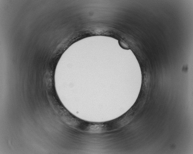 X0000114240461200911201137