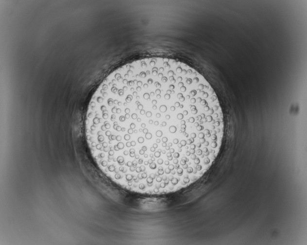 X0000114240465200911201137