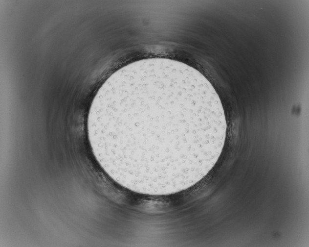 X0000114240466200911201137