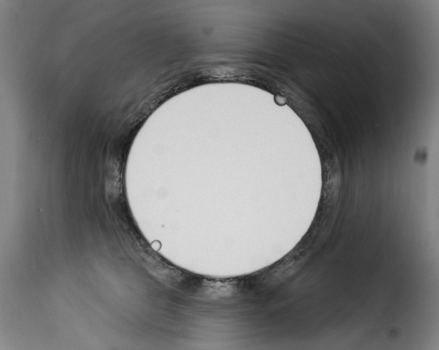 X0000114240469200911201138