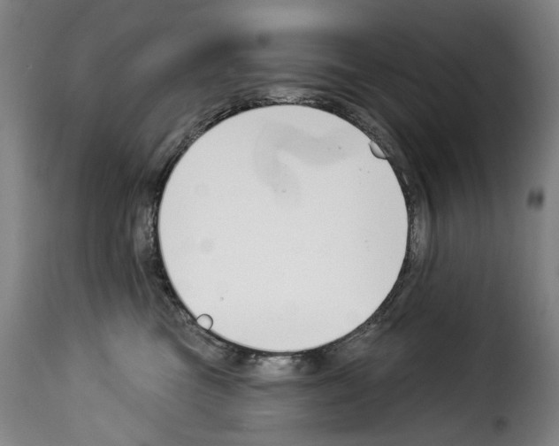 X0000114240473200911201138