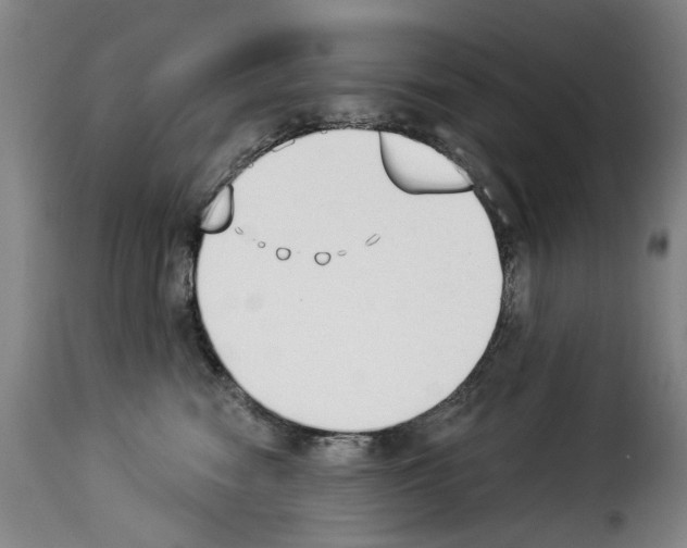 X0000114240474200911201138