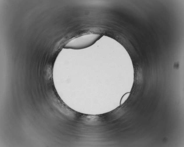 X0000114240478200911201138