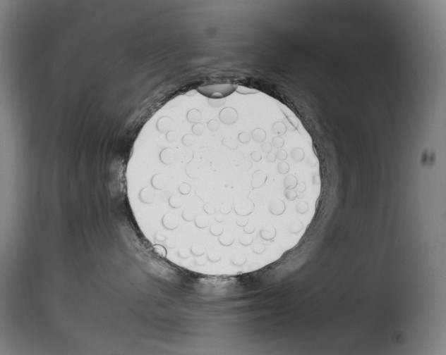 X0000114240480200911201138