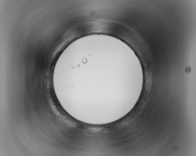 X0000114240482200911201137