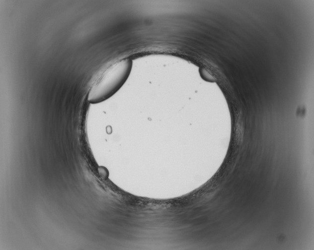 X0000114240484200911201137