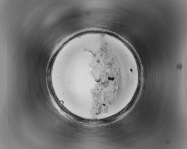 X0000114240485200911201137