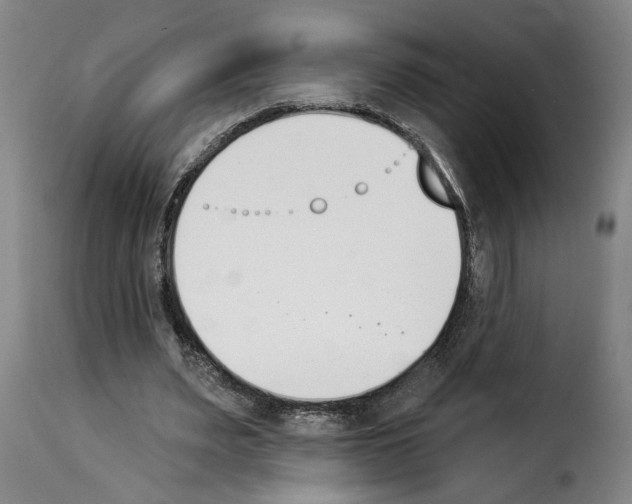 X0000114240487200911201137