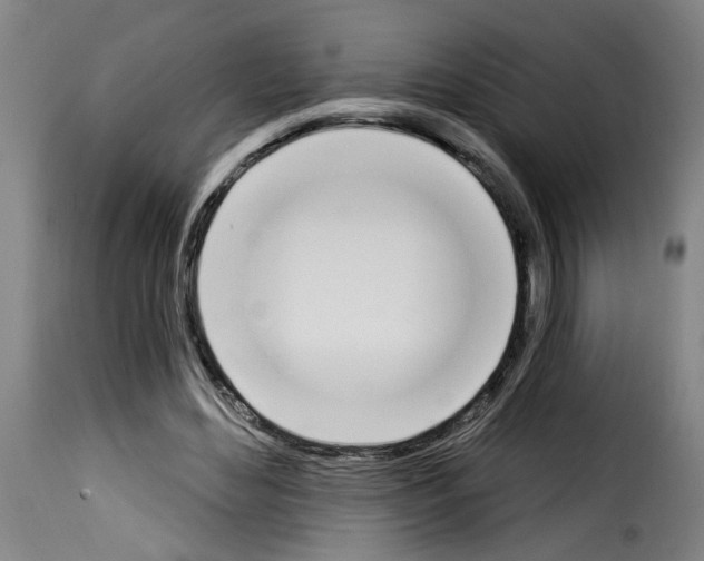 X0000114240492200911201137