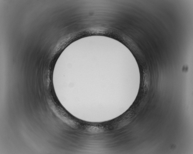 X0000114240494200911201137