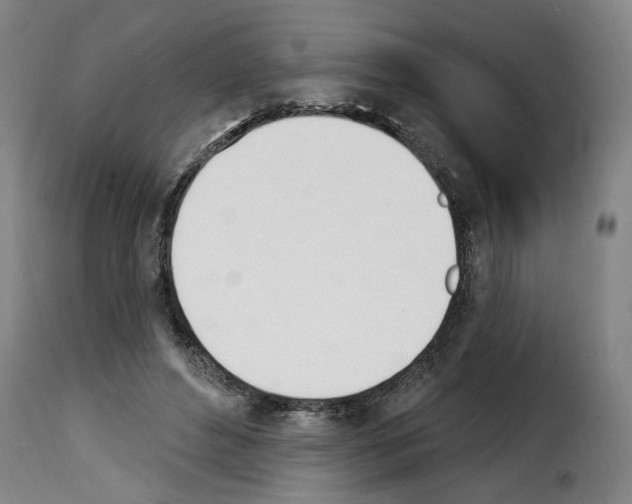 X0000114240496200911201136