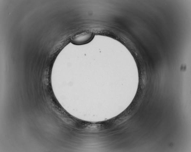 X0000114240497200911201136