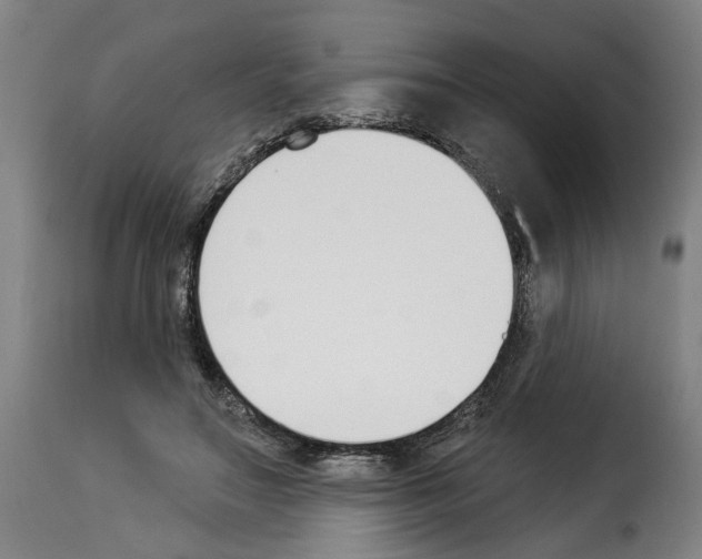 X0000114240499200911201136