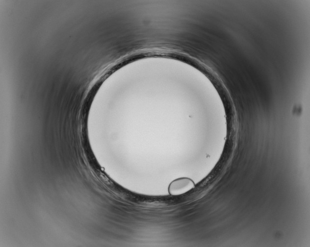 X0000114240500200911201136