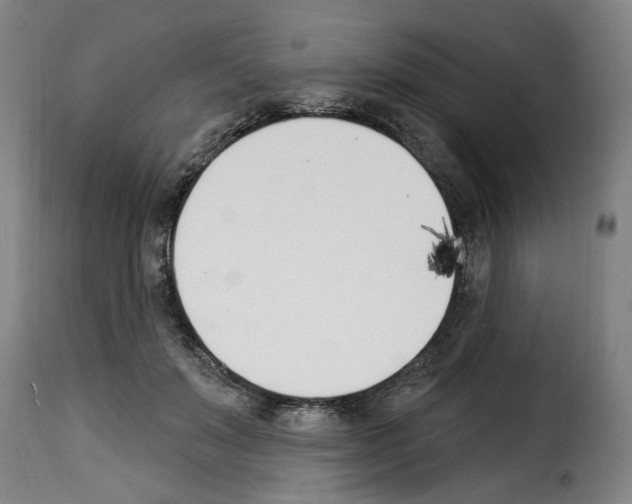 X0000114240503200911201136