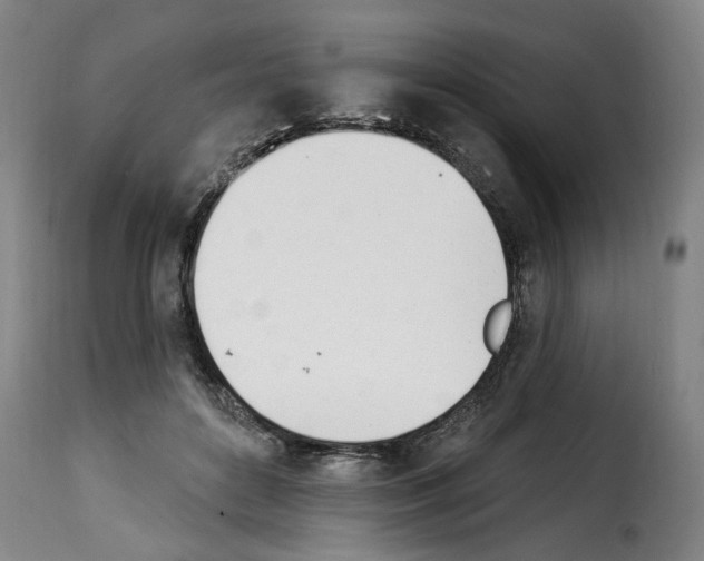 X0000114240504200911201136