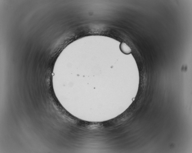 X0000114240505200911201136