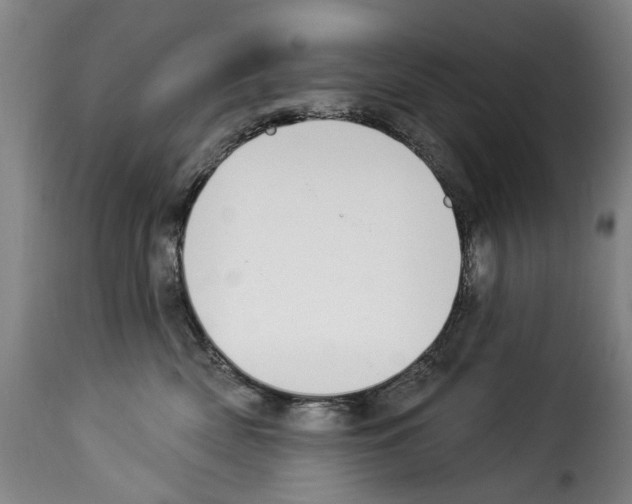 X0000114240522200911201136