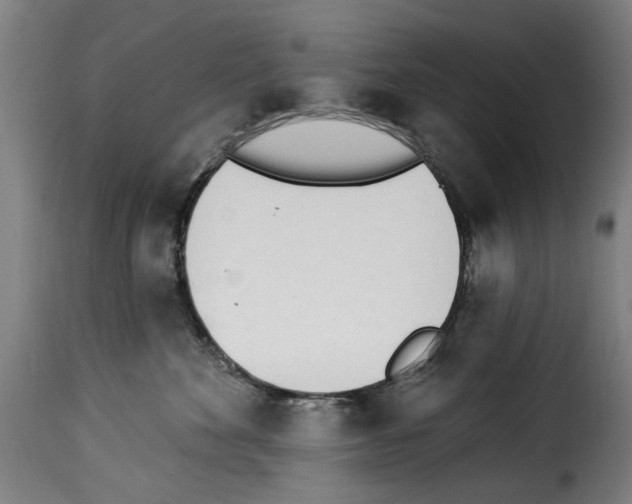 X0000114240524200911201136