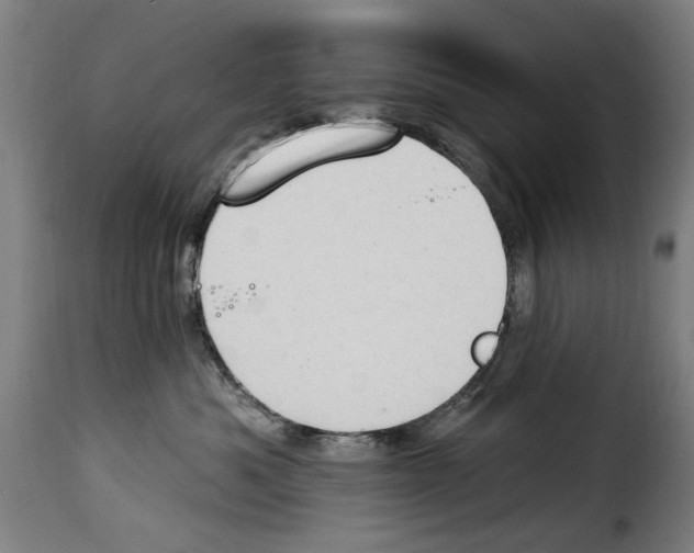 X0000114240525200911201136