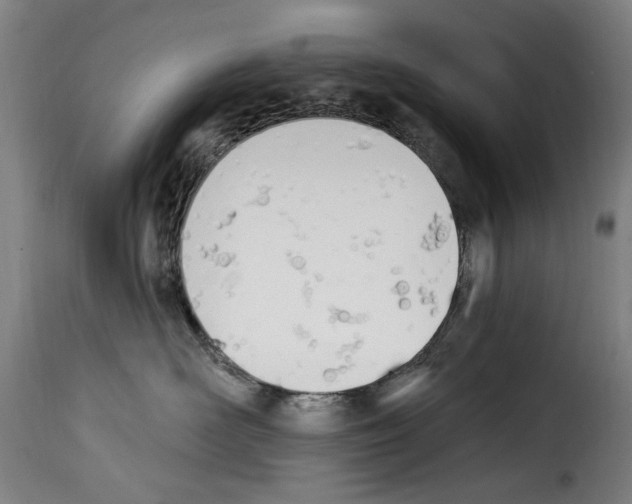 X0000114240526200911201136