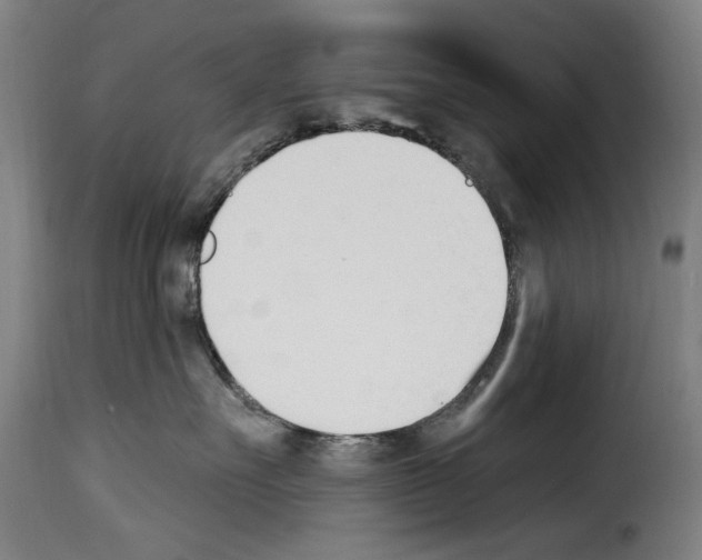 X0000114240527200911201136