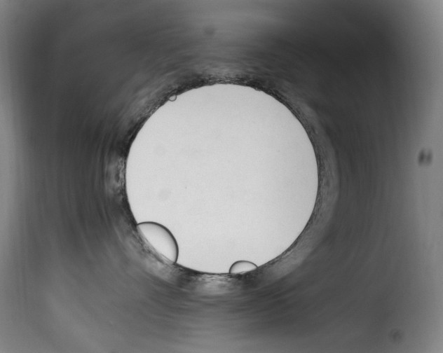 X0000114240528200911201136