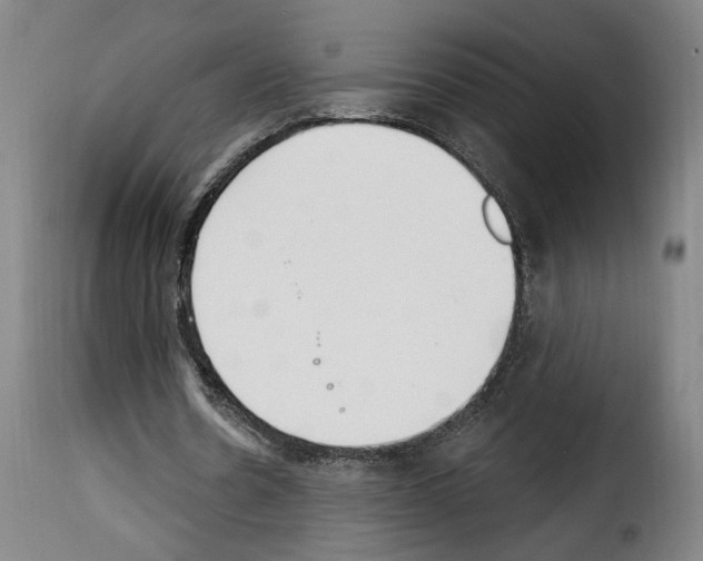 X0000114240530200911201135