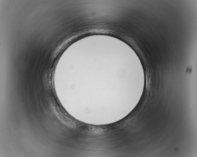 X0000114240531200911201135