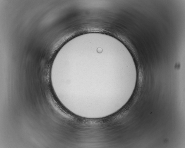 X0000114240533200911201135