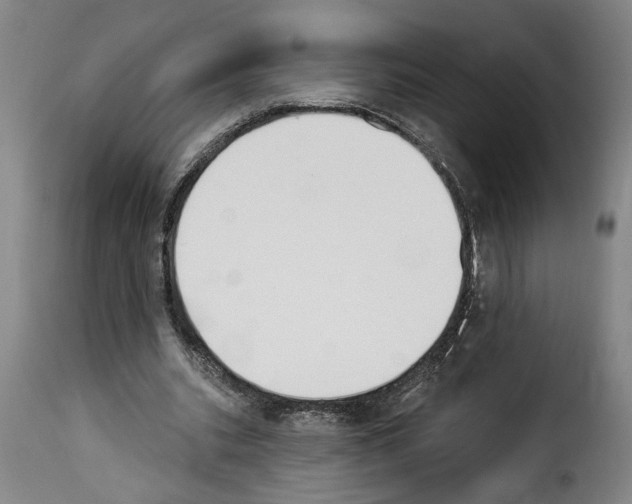 X0000114240535200911201135