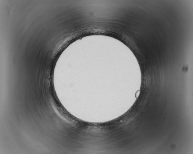 X0000114240538200911201136