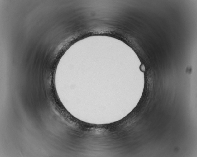 X0000114240539200911201136