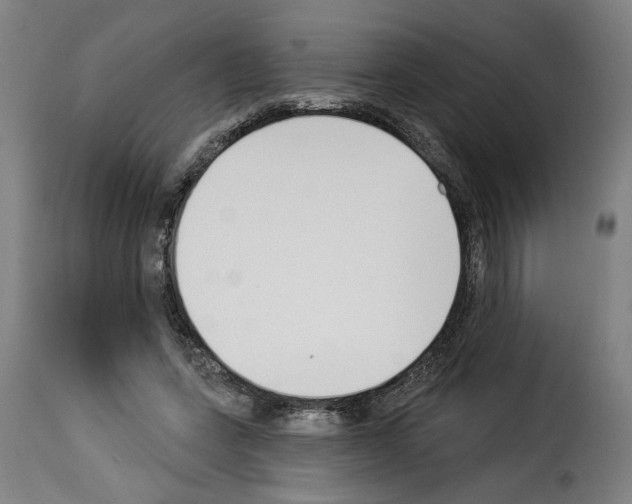 X0000114240543200911201136