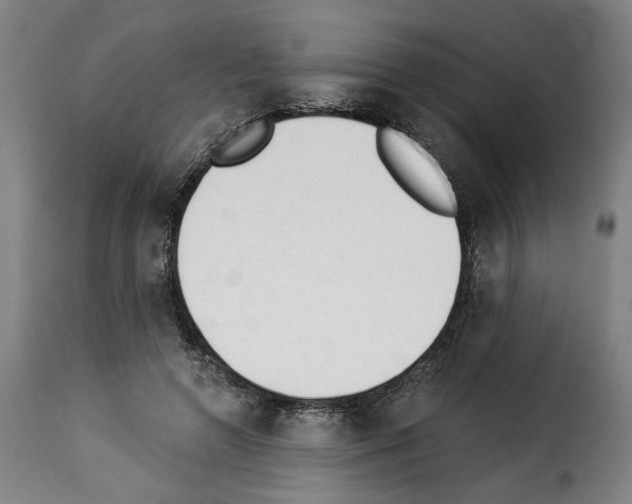 X0000114240546200911201136