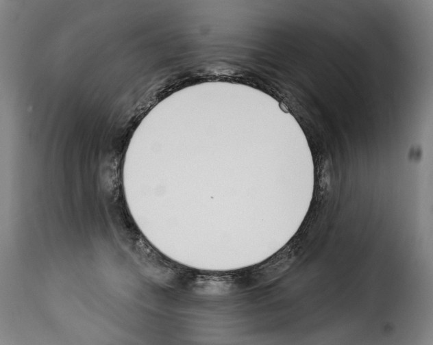 X0000114240559200911201136