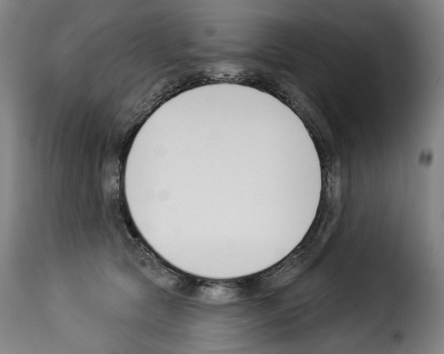 X0000114240561200911201136