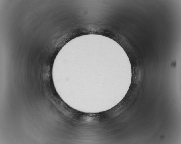 X0000114240563200911201136