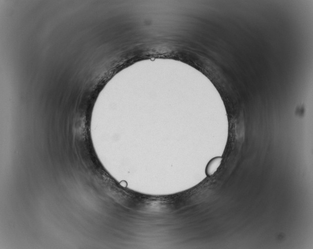 X0000114240564200911201136