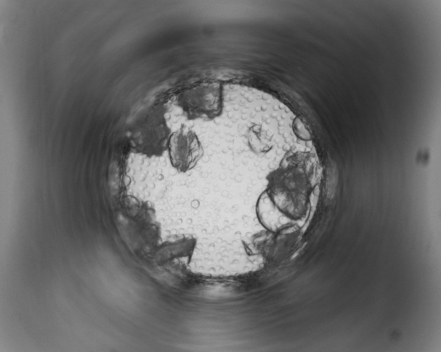 X0000114240569200911201136