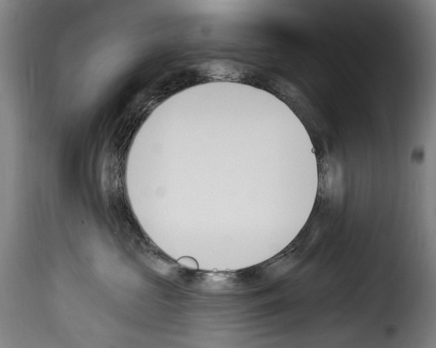 X0000114240573200911201136