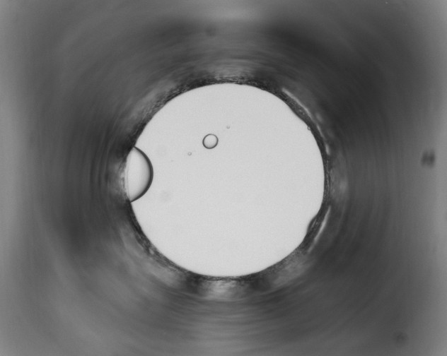 X0000114240575200911201136