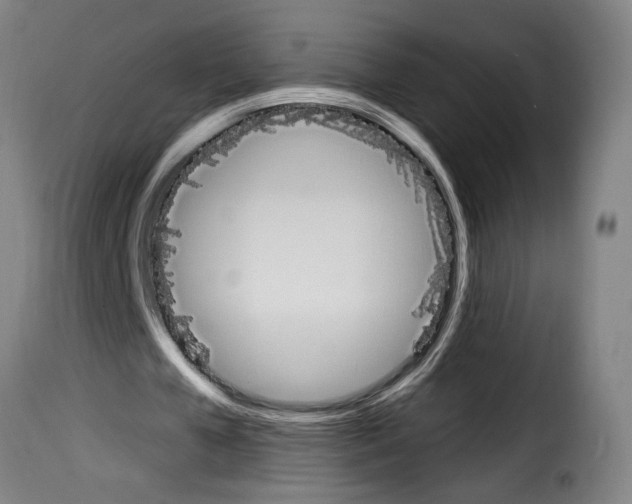 X0000114240577200911201135