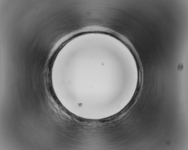 X0000114240579200911201135