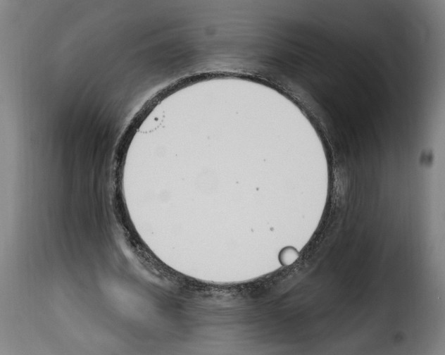 X0000114240580200911201135