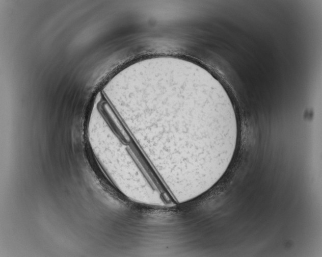 X0000114240581200911201135