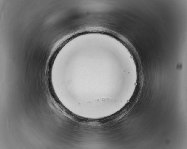 X0000114240583200911201135