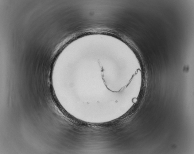 X0000114240585200911201135