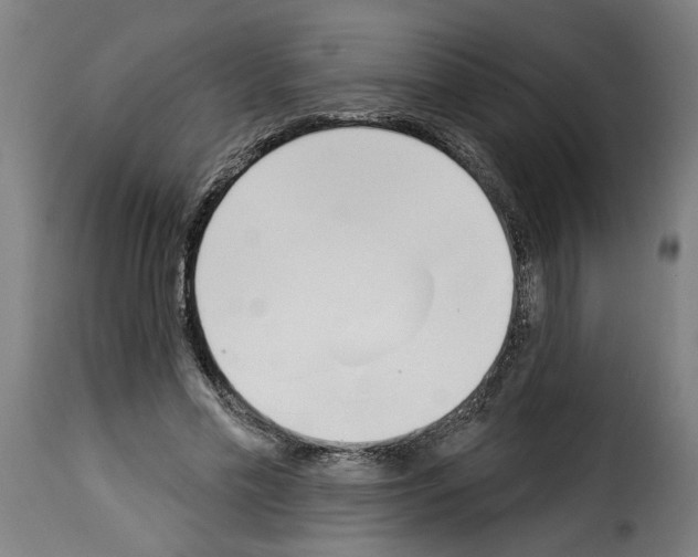 X0000114240589200911201135